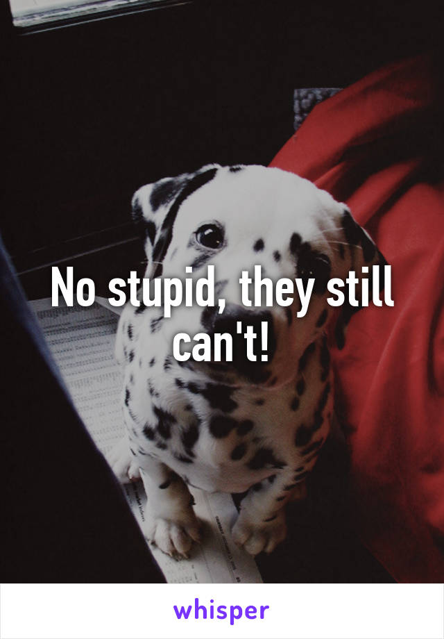 No stupid, they still can't!