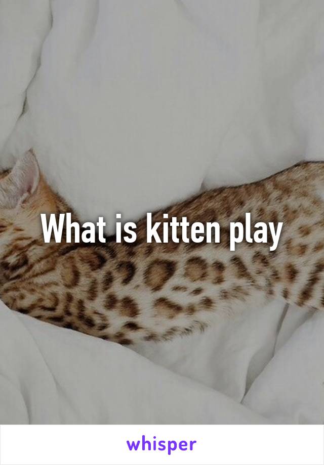 What is kitten play