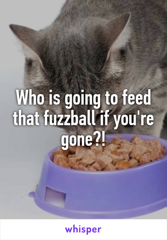 Who is going to feed that fuzzball if you're gone?!