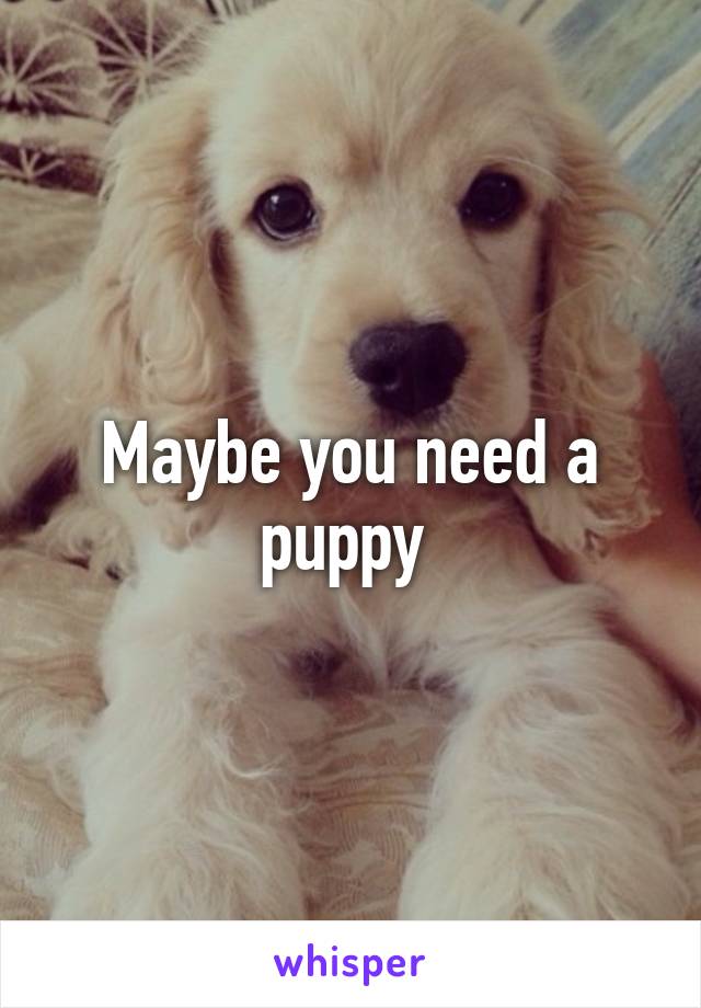 Maybe you need a puppy 