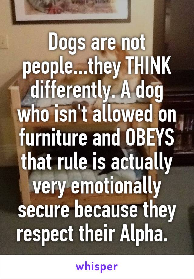 Dogs are not people...they THINK differently. A dog who isn't allowed on furniture and OBEYS that rule is actually very emotionally secure because they respect their Alpha.  