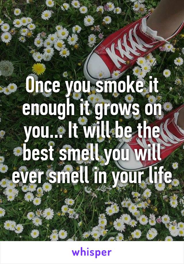 Once you smoke it enough it grows on you... It will be the best smell you will ever smell in your life