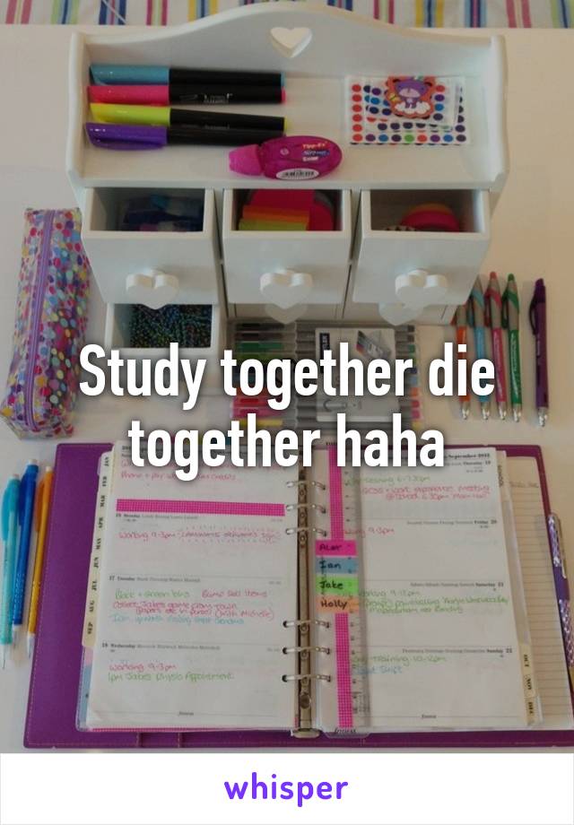 Study together die together haha