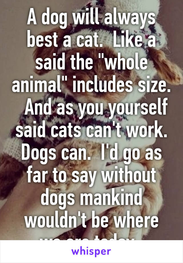 A dog will always best a cat.  Like a said the "whole animal" includes size.   And as you yourself said cats can't work. Dogs can.  I'd go as far to say without dogs mankind wouldn't be where we are today. 