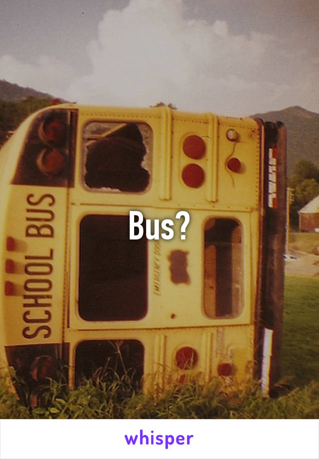 Bus?