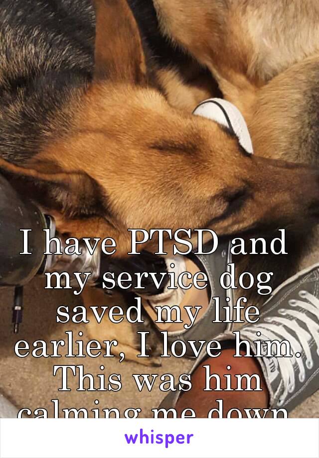 I have PTSD and my service dog saved my life earlier, I love him. This was him calming me down.
