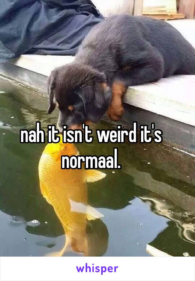 nah it isn't weird it's normaal. 