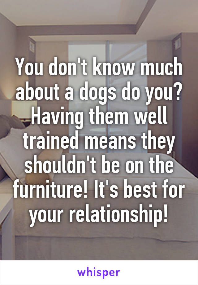 You don't know much about a dogs do you?
Having them well trained means they shouldn't be on the furniture! It's best for your relationship!