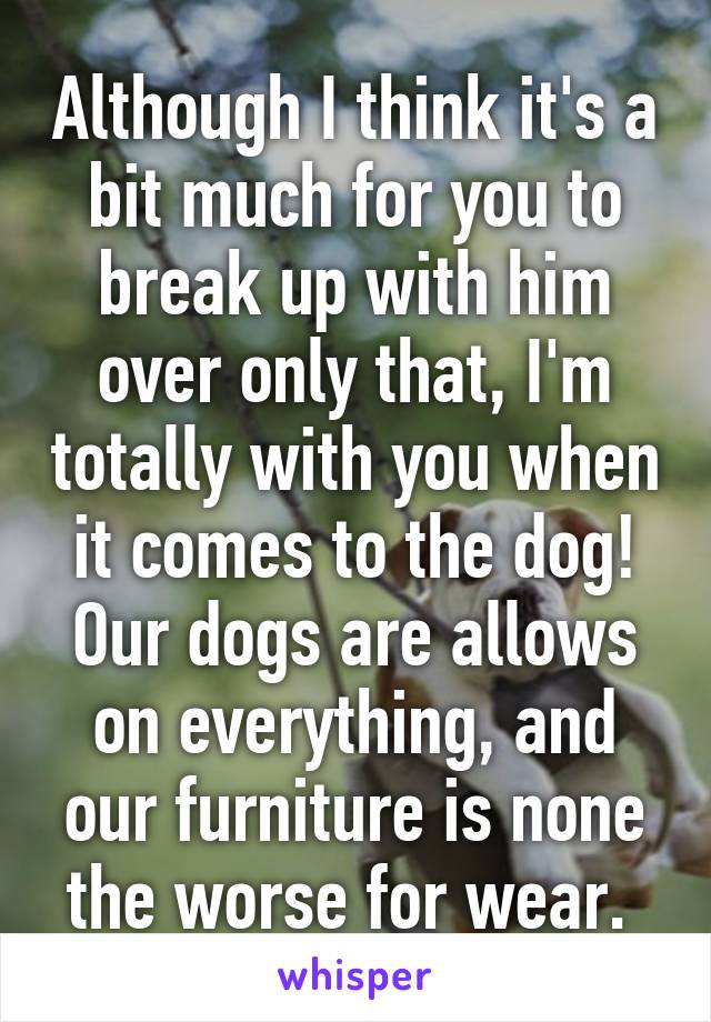 Although I think it's a bit much for you to break up with him over only that, I'm totally with you when it comes to the dog! Our dogs are allows on everything, and our furniture is none the worse for wear. 