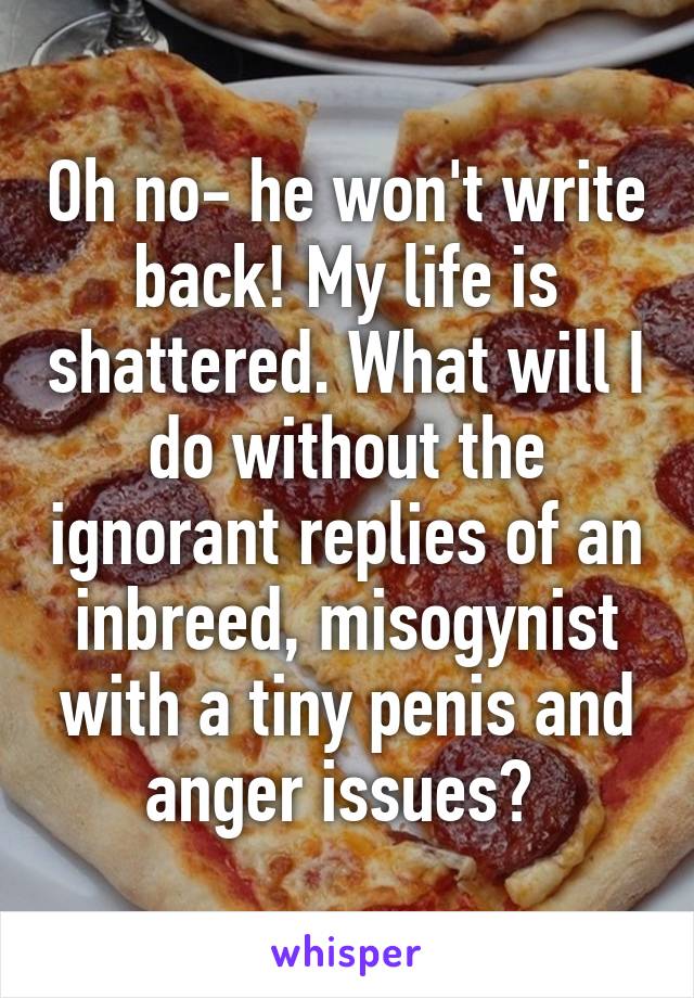 Oh no- he won't write back! My life is shattered. What will I do without the ignorant replies of an inbreed, misogynist with a tiny penis and anger issues? 