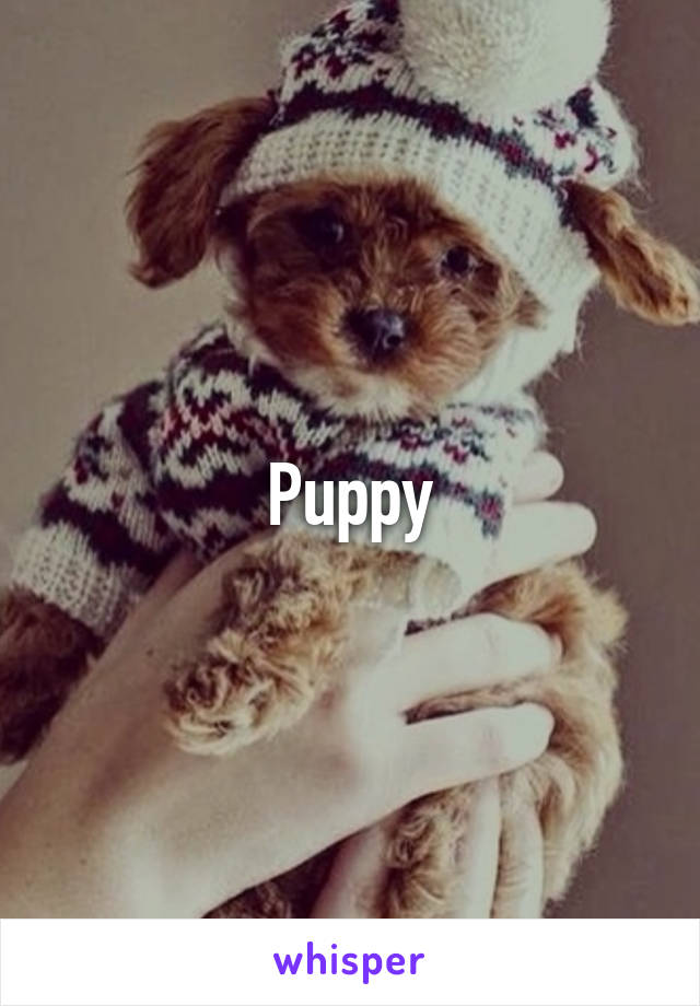 Puppy