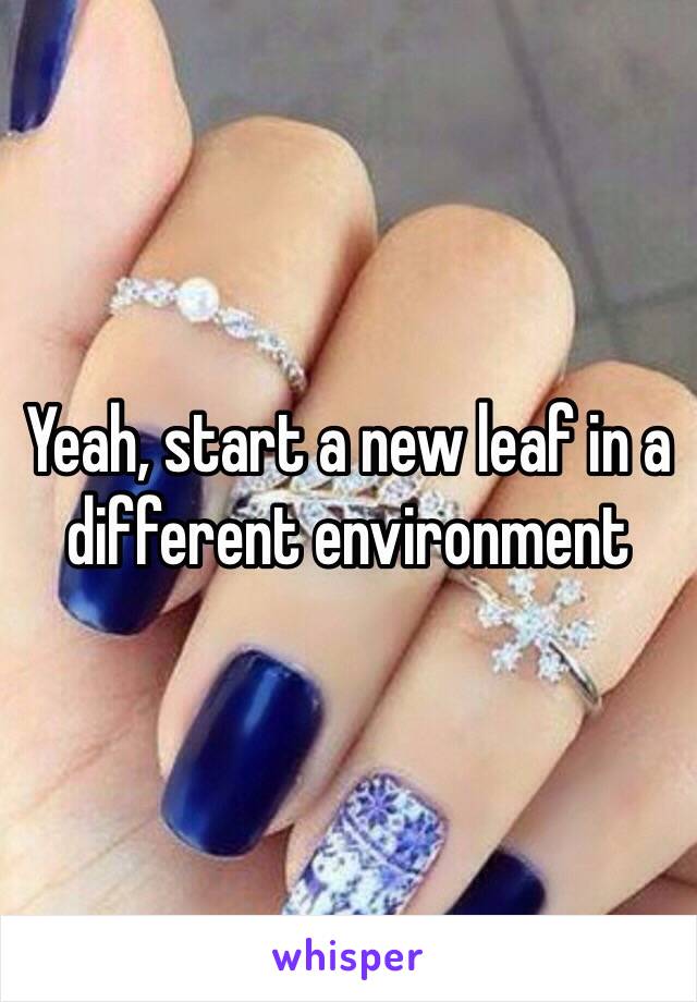 Yeah, start a new leaf in a different environment