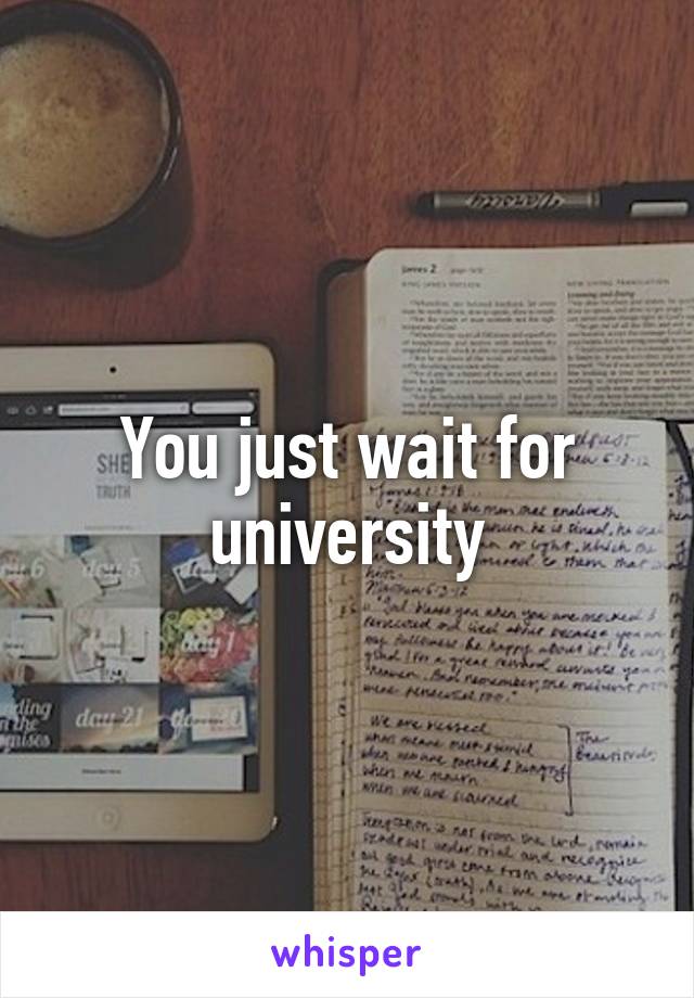 You just wait for university