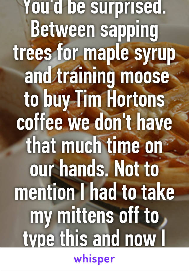 You'd be surprised. Between sapping trees for maple syrup  and training moose to buy Tim Hortons coffee we don't have that much time on our hands. Not to mention I had to take my mittens off to type this and now I can't feel them.