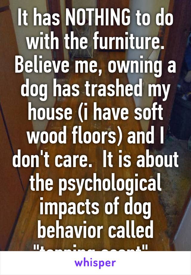 It has NOTHING to do with the furniture. Believe me, owning a dog has trashed my house (i have soft wood floors) and I don't care.  It is about the psychological impacts of dog behavior called "topping scent". 