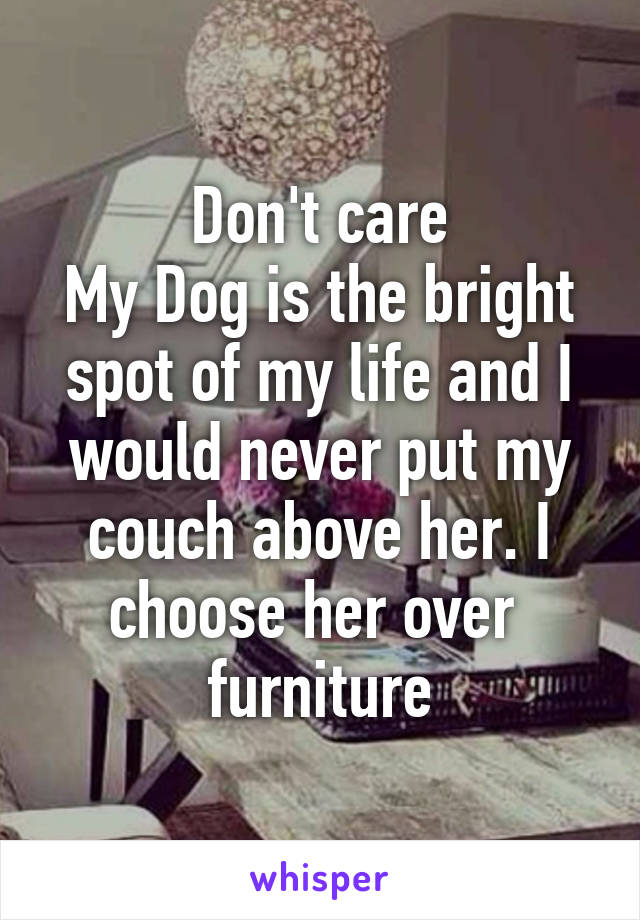 Don't care
My Dog is the bright spot of my life and I would never put my couch above her. I choose her over  furniture