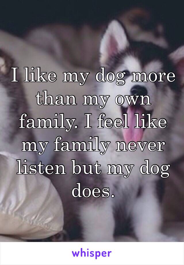 I like my dog more than my own family. I feel like my family never listen but my dog does.