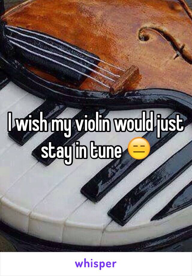 I wish my violin would just stay in tune 😑