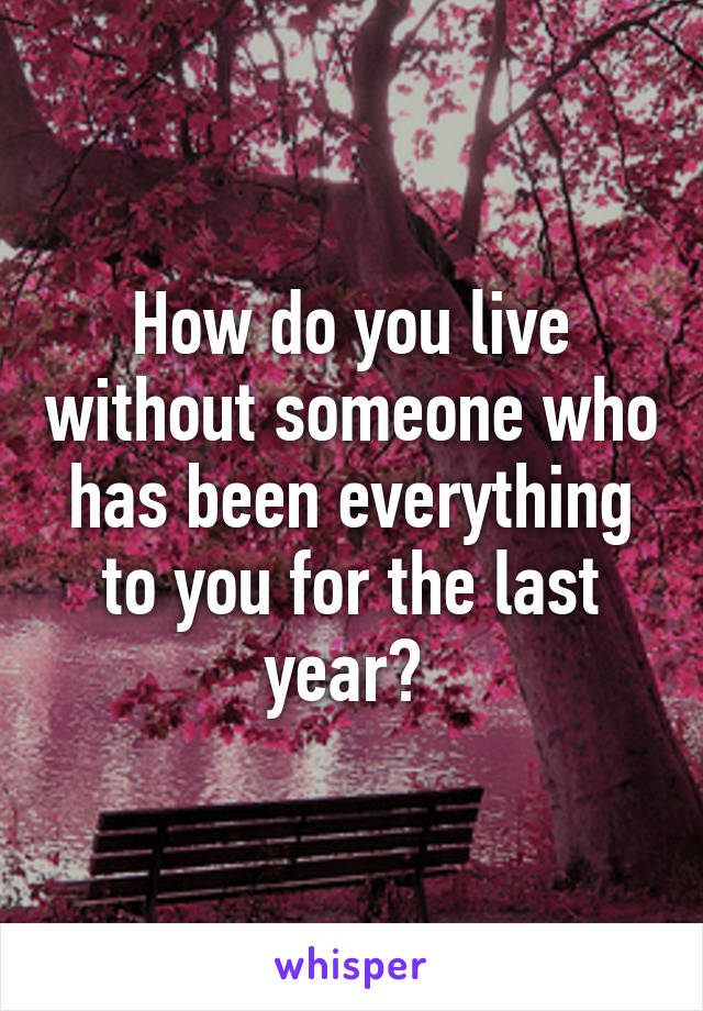 How do you live without someone who has been everything to you for the last year? 