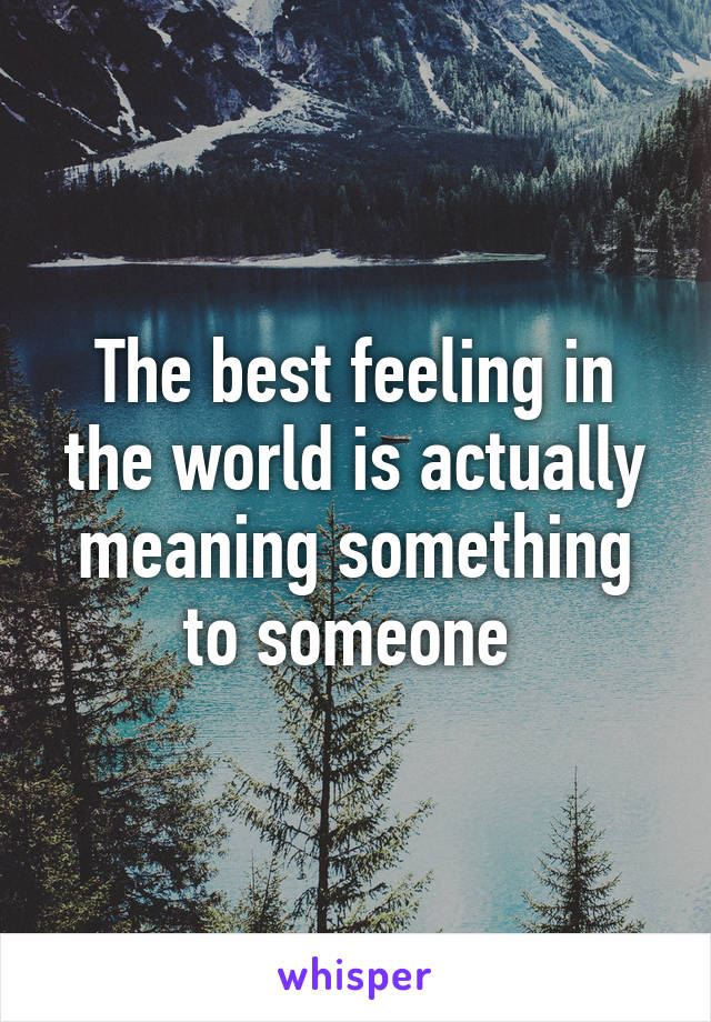 The best feeling in the world is actually meaning something to someone 