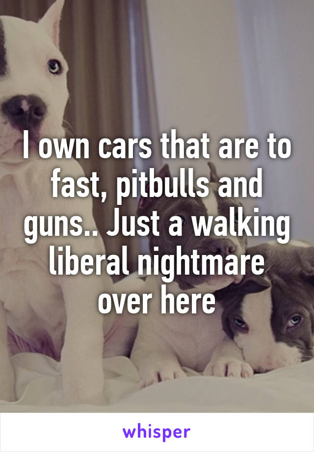 I own cars that are to fast, pitbulls and guns.. Just a walking liberal nightmare over here