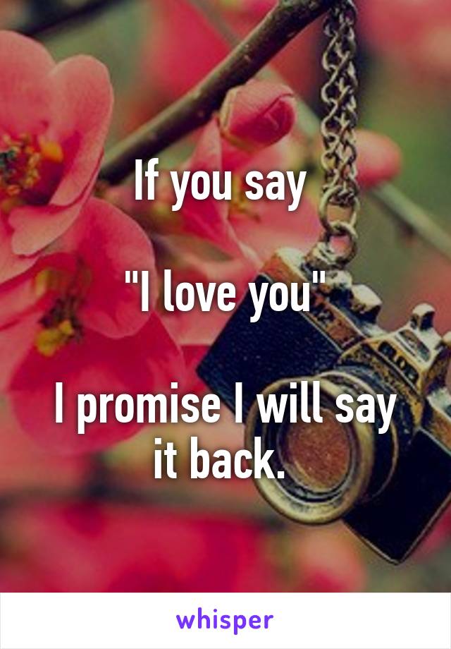 If you say 

"I love you"

I promise I will say it back. 