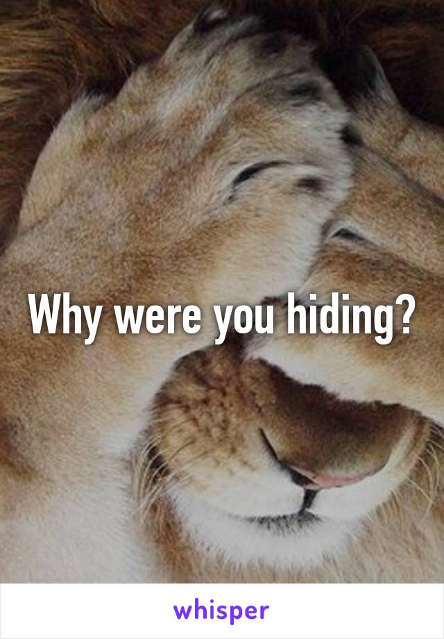 Why were you hiding?