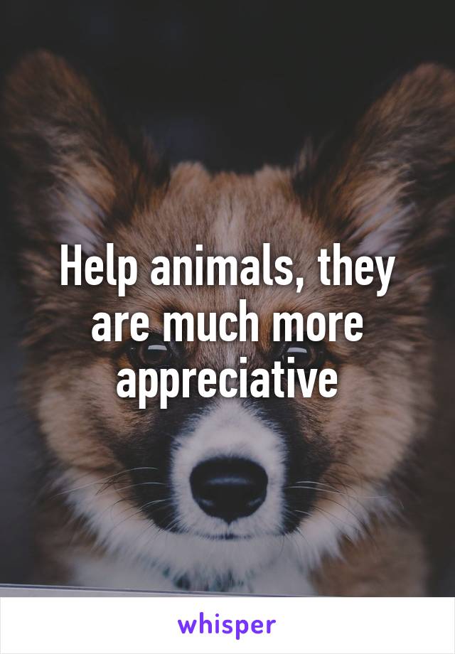 Help animals, they are much more appreciative