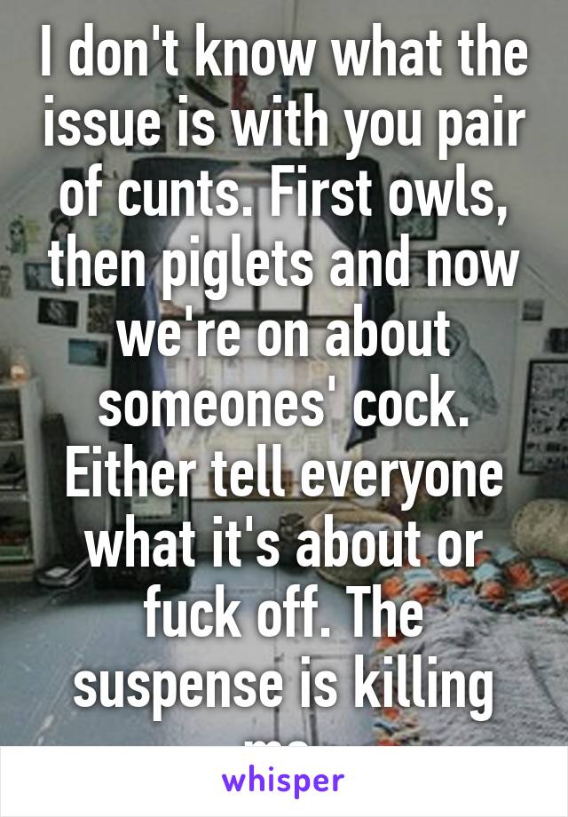 I don't know what the issue is with you pair of cunts. First owls, then piglets and now we're on about someones' cock. Either tell everyone what it's about or fuck off. The suspense is killing me.