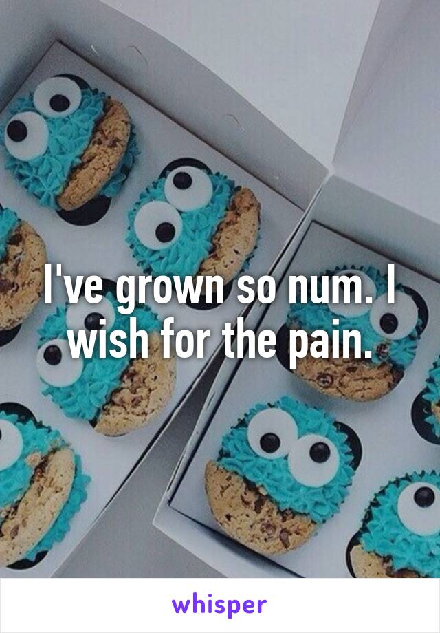 I've grown so num. I wish for the pain.