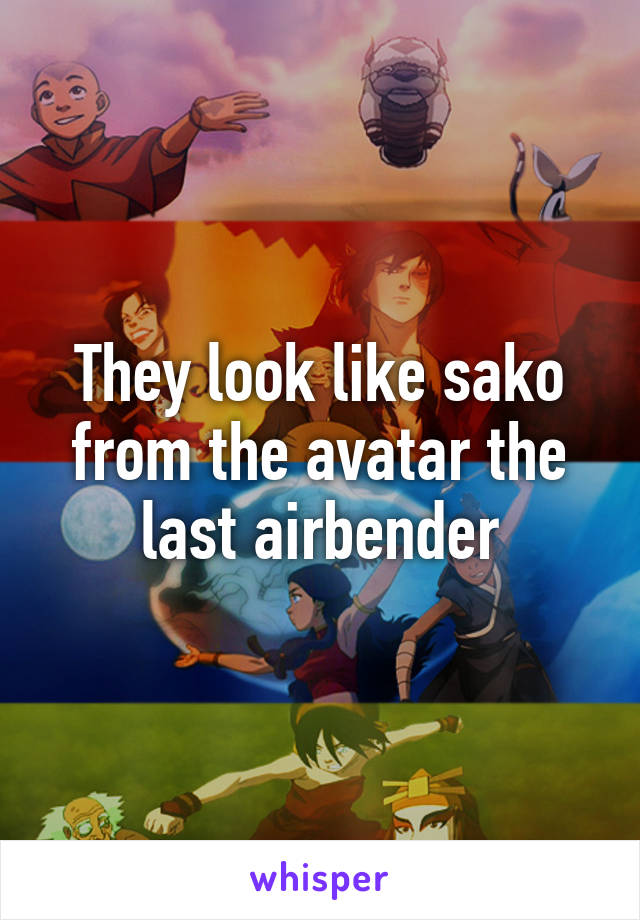 They look like sako from the avatar the last airbender