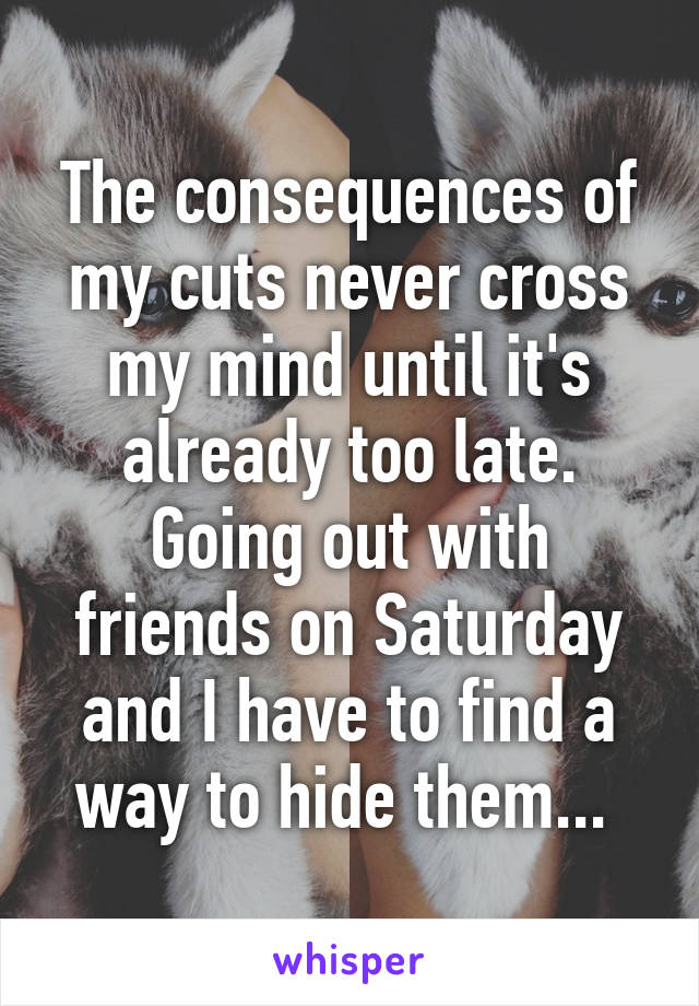 The consequences of my cuts never cross my mind until it's already too late. Going out with friends on Saturday and I have to find a way to hide them... 