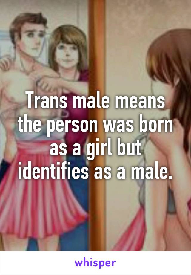 Trans male means the person was born as a girl but identifies as a male.