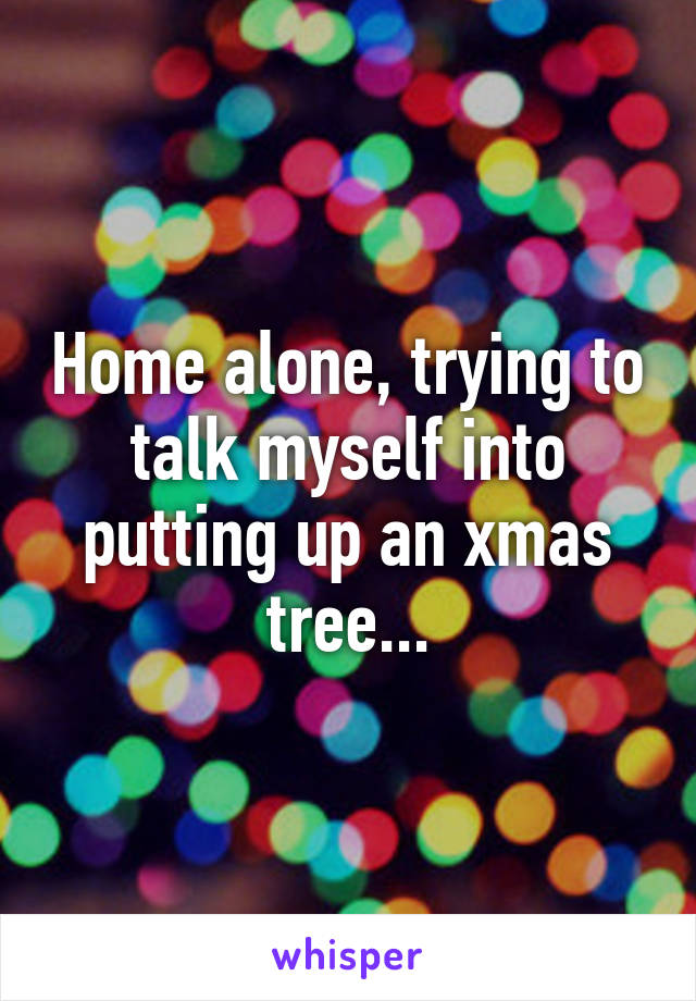 Home alone, trying to talk myself into putting up an xmas tree...