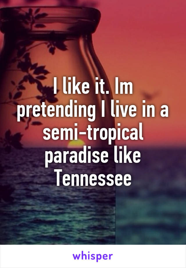 I like it. Im pretending I live in a semi-tropical paradise like Tennessee