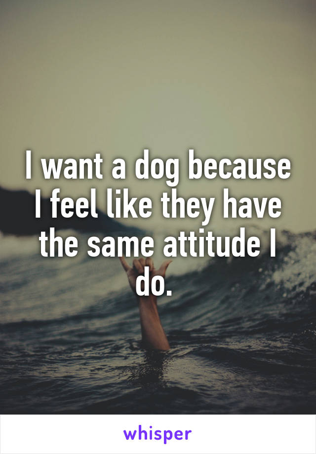 I want a dog because I feel like they have the same attitude I do. 