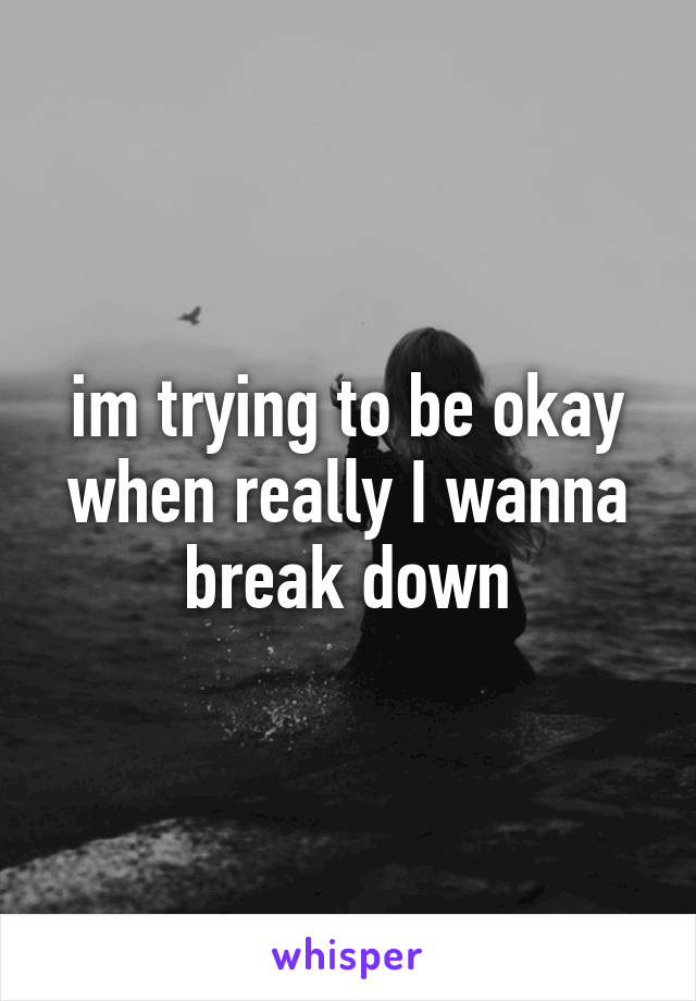 im trying to be okay when really I wanna break down