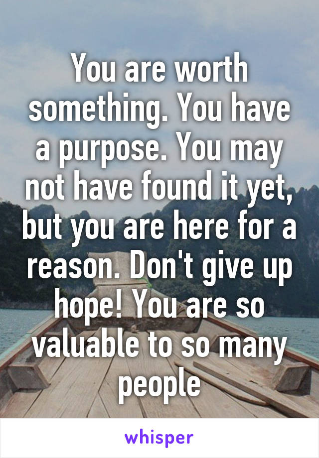 You are worth something. You have a purpose. You may not have found it yet, but you are here for a reason. Don't give up hope! You are so valuable to so many people