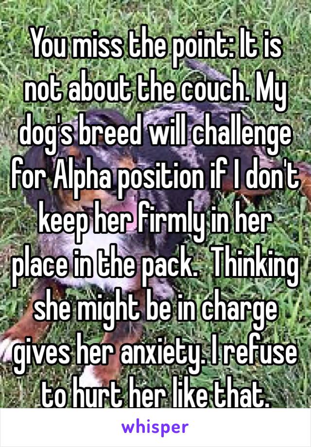 You miss the point: It is not about the couch. My dog's breed will challenge for Alpha position if I don't keep her firmly in her place in the pack.  Thinking she might be in charge gives her anxiety. I refuse to hurt her like that. 