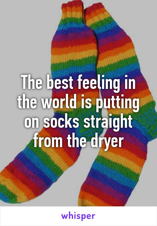 The best feeling in the world is putting on socks straight from the dryer