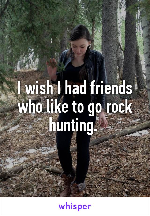 I wish I had friends who like to go rock hunting. 