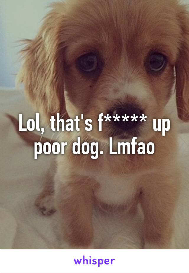 Lol, that's f***** up poor dog. Lmfao