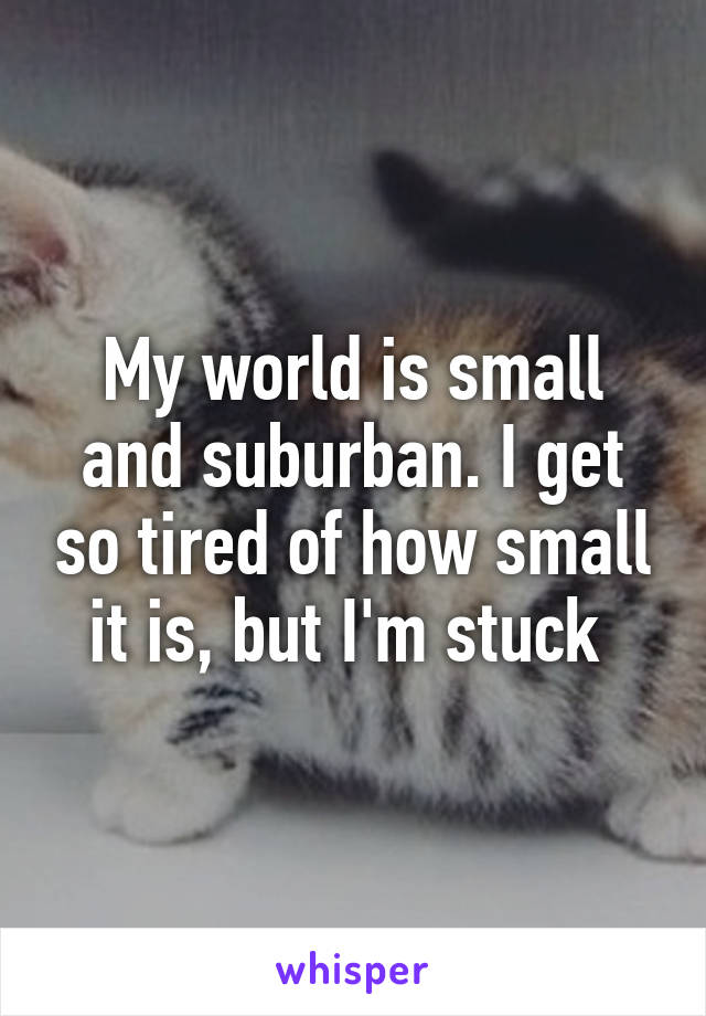 My world is small and suburban. I get so tired of how small it is, but I'm stuck 