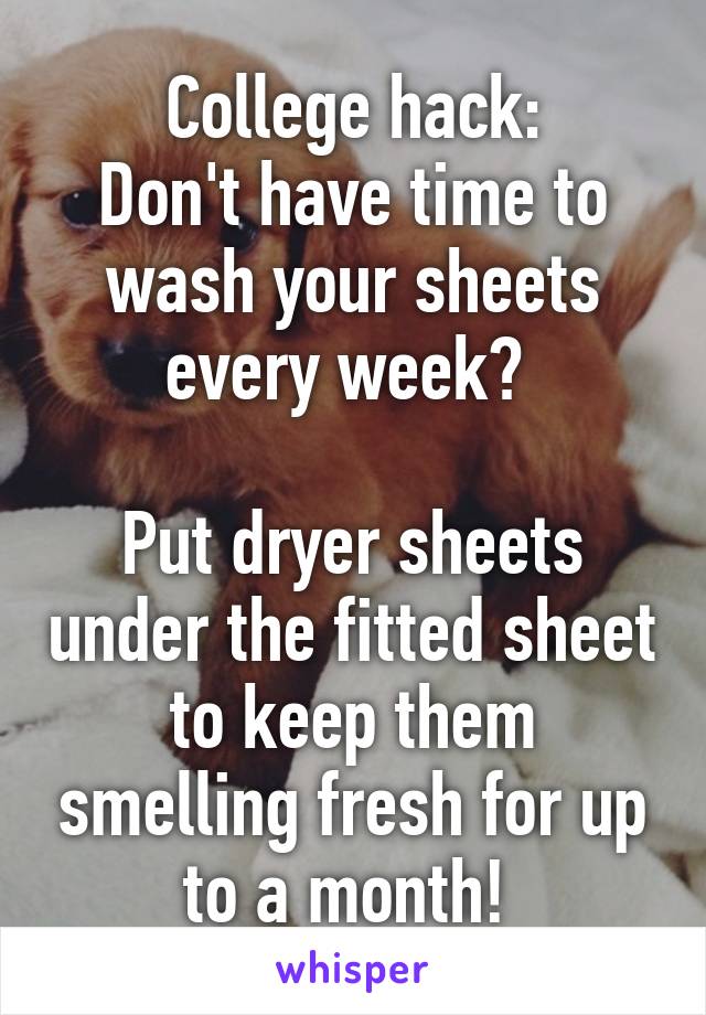 College hack:
Don't have time to wash your sheets every week? 

Put dryer sheets under the fitted sheet to keep them smelling fresh for up to a month! 