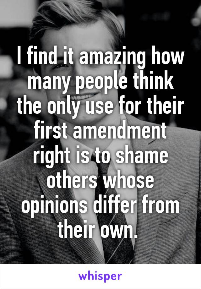 I find it amazing how many people think the only use for their first amendment right is to shame others whose opinions differ from their own. 