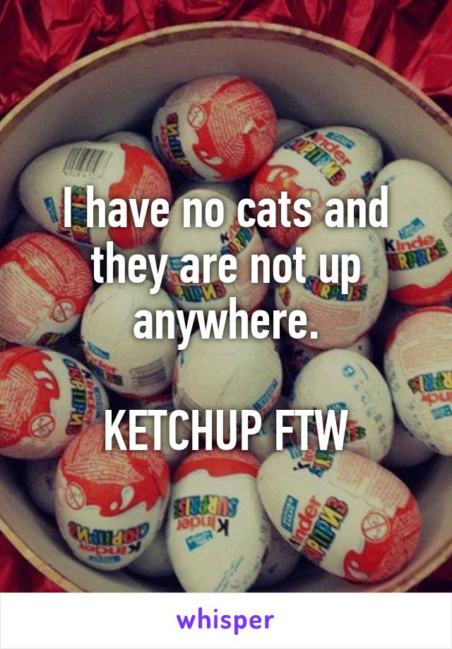 I have no cats and they are not up anywhere.

KETCHUP FTW