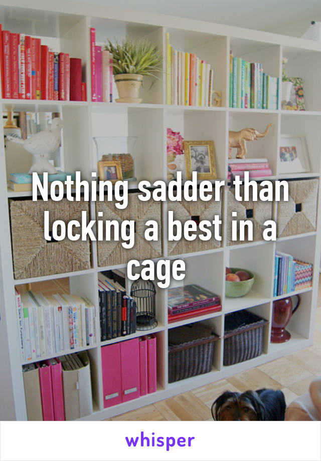 Nothing sadder than locking a best in a cage 