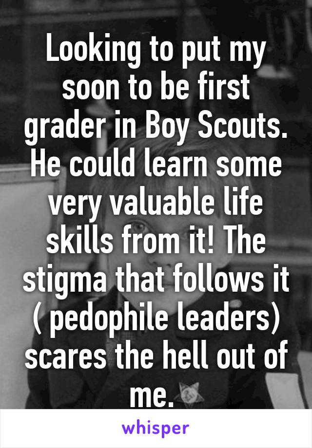 Looking to put my soon to be first grader in Boy Scouts. He could learn some very valuable life skills from it! The stigma that follows it ( pedophile leaders) scares the hell out of me. 