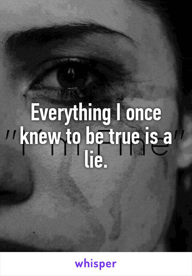 Everything I once knew to be true is a lie.