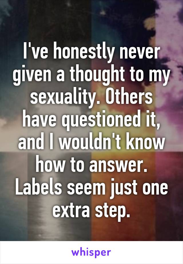 I've honestly never given a thought to my sexuality. Others have questioned it, and I wouldn't know how to answer. Labels seem just one extra step.